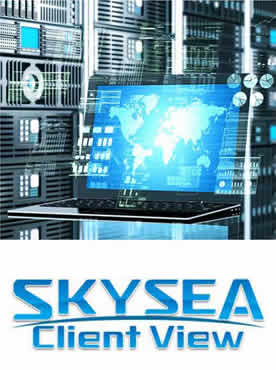 SKYSEA Client View